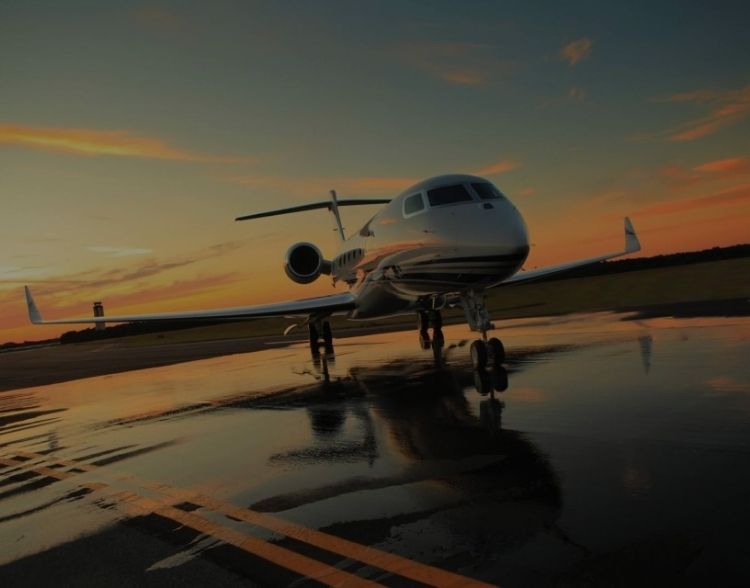 Executive aircraft <br>charter